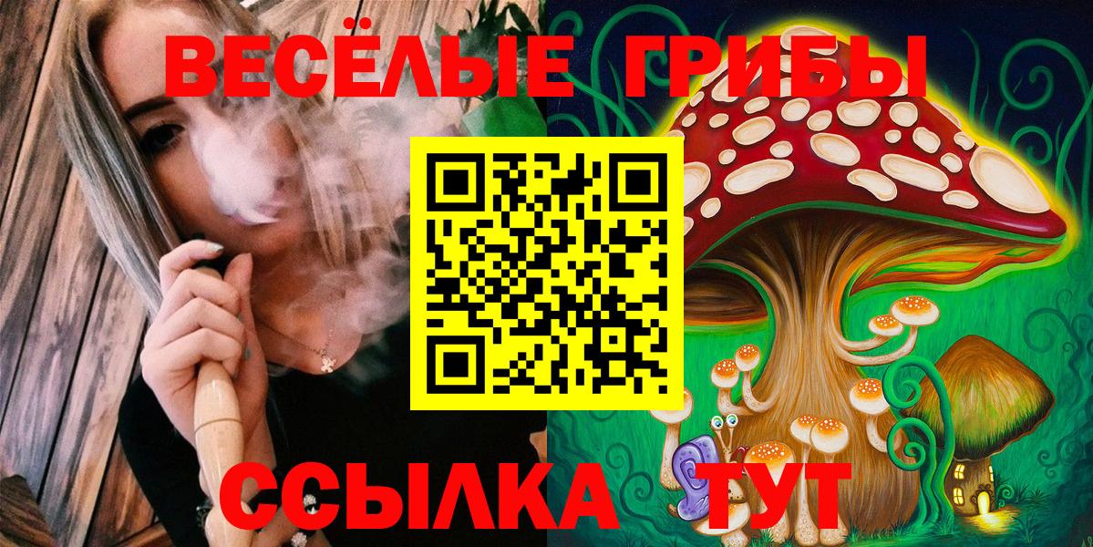 Галлюциногенные грибы Psilocybe  Псилоцибиновые грибы мухоморы  Вход с VPN  Новозыбков 