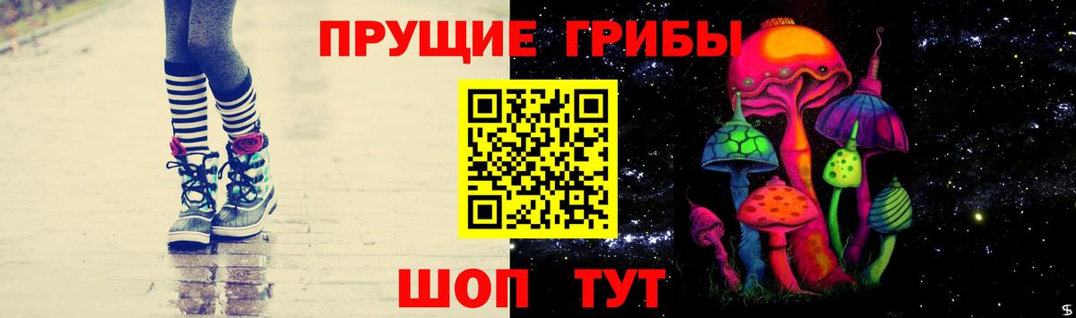 Псилоцибиновые грибы ЛСД Новозыбков